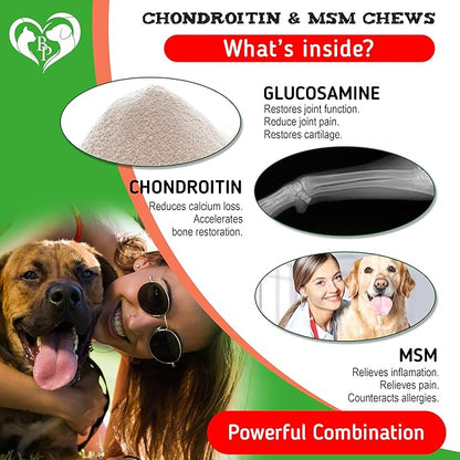 Dog Hip and Joint Supplement & Arthritis Pain Relief Treats - Glucosamine Chondroitin MSM Soft Chews for Senior Dogs - Natural Medicine & Support Mobility - Turmeric Vitamins for Dysplasia - USA