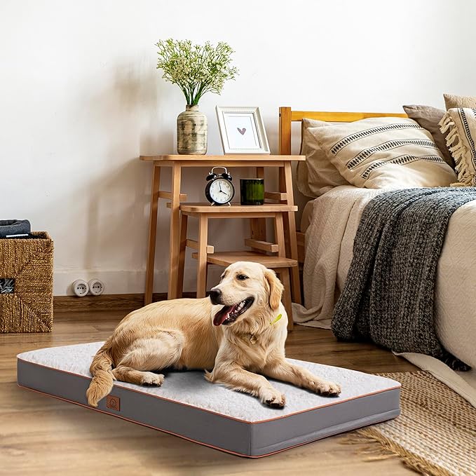 Jumbo Dog Bed Extra Large Waterproof Dog Bed, Big Orthopedic Dog Beds with Removable Washable Cover for Extra Large Dogs, Pet Bed Mat Egg-Crate Foam, 3XL(47"X29"X4"), Light Gray