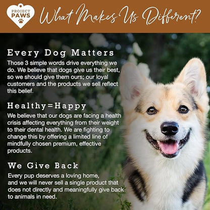 Bone Broth for Dogs with Powdered Elk Antler and Bone - Collagen and Mineral Rich Food Topper for Dogs - Whole Food Superfood Powder Multivitamin for Dogs - 4 oz
