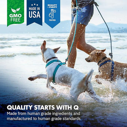 Green Lipped Mussel Powder for Dogs, All-Natural Hip & Joint Support Dietary Supplement Formula for Dogs (120 Servings)