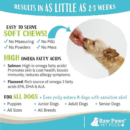 Raw Paws Skin & Coat Treats for Dogs, 10-oz/100-ct - USA Made - Coconut & Salmon Omega 3 Dog Treats, Soft Skin Chews - Dry Skin Dog Treats Support Healthy Dog Coat - Skin and Coat Supplement for Dogs