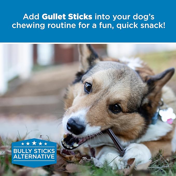 Best Bully Sticks 6 Inch Gullet Thin Stick Dog Treats (25 Pack) - All-Natural Beef Dog Treats - Hollow, Quick Chew Snack for all Dogs - Great for Teething Puppies, Senior Dogs, Light Chewers