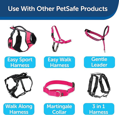 PetSafe Nylon Dog Leash - Strong, Durable, Traditional Style Leash with Easy to Use Bolt Snap - 3/4 in. x 6 ft., Raspberry Pink
