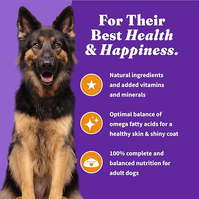 Halo Holistic Adult Dog Grain Free Cage-Free Chicken & Sweet Potato Recipe 21 lb Bag