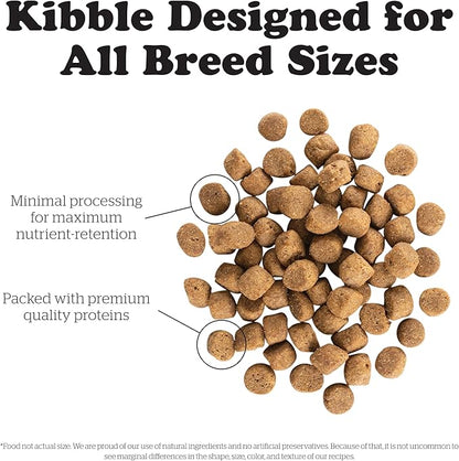 Now Fresh Grain Free Dog Food, 12 lb Adult & 22 lb Senior Recipe Dry Dog Food