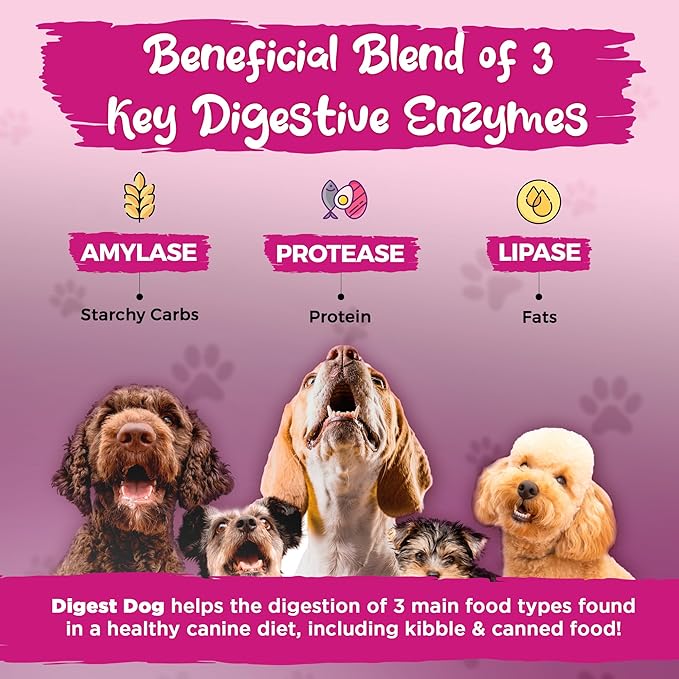 Vital Planet - Digest Dog Digestive Pancreatic Enzyme Blend with Pumpkin and Fennel to Support The Pancreas and Healthy Digestion with Pancreatin, Beef Flavored Powder for Dogs - 111 Grams 30 Scoops