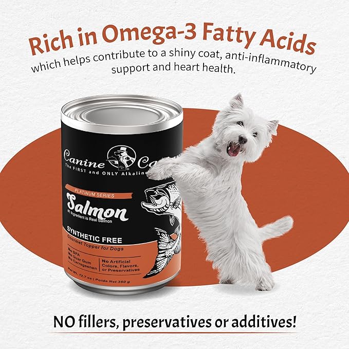 Canine Caviar Wet Dog Food - Salmon Flavored Canned Dog Food 12 Pack (12 oz), Grain and Synthetic Free Gourmet Topper, Wet Dog Food for Small Dogs, Medium Dogs, and Large Dogs