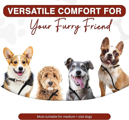 Hands Free Dog Leash - 7 Feet Multifunctional Waist, Shoulder & Crossbody Dog Leash for Walking, Jogging and Running, Faux Leather Hands Free Leash for Small to Medium Sized Dogs
