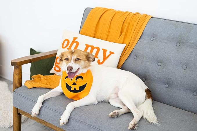 Pearhead Pumpkin Dog Bandana, Holiday Fall Dog Apparel, Halloween Dog Costume, Dog Slip On Collar Accessories, Medium/Large, M/L