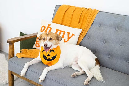 Pearhead Pumpkin Dog Bandana, Holiday Fall Dog Apparel, Halloween Dog Costume, Dog Slip On Collar Accessories, Medium/Large, M/L