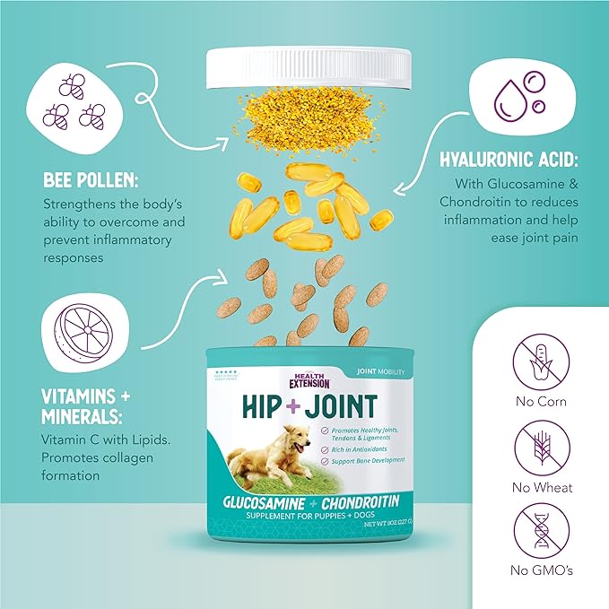 Health Extension Chondroitin with Glucosamine for Dog, Arthritis Pain Relief Vitamin, Joint & Hip Supplement Cheese Flavored Powder, Suitable for All Types of Puppies & Dogs, (16 Oz / 454 g)