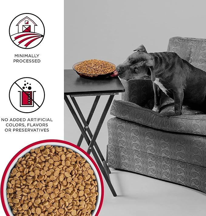 BIXBI Liberty Grain Free Dry Dog Food, Beef, 4 lbs - Fresh Meat, No Meat Meal, No Fillers - Gently Steamed & Cooked - No Soy, Corn, Rice or Wheat for Easy Digestion - USA Made