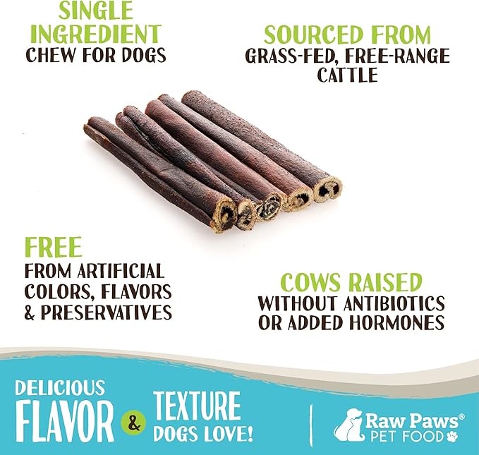 Raw Paws Beef Collagen Sticks for Dogs, 6 inch, 10-ct - Packed in USA - Natural Collagen for Dogs - Dog Chews for Aggressive Chewers & Large Dogs - Collagen Bones for Dogs, Dog Collagen Chews for Dogs
