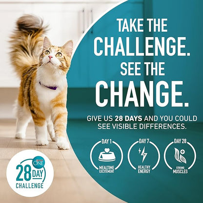 Purina ONE Natural, High Protein, Grain Free Dry Cat Food, True Instinct With Real Chicken - 3.2 lb. Bag