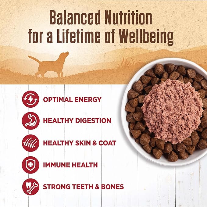 Wellness Natural Pet Food 95% Beef Natural Wet Grain Free Canned Dog Food, 13.2-Ounce Can (Pack of 12)