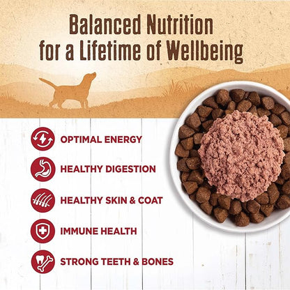 Wellness Natural Pet Food 95% Beef Natural Wet Grain Free Canned Dog Food, 13.2-Ounce Can (Pack of 12)