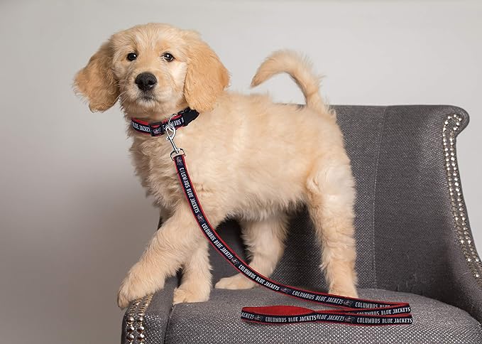 Pets First NHL Columbus Blue Jackets Leash for Dogs & Cats, Medium. - Walk Cute & Stylish! The Ultimate Hockey Fan Leash!, medium (4 ft long x 0.62 in width) (CBJ-3031-MD)