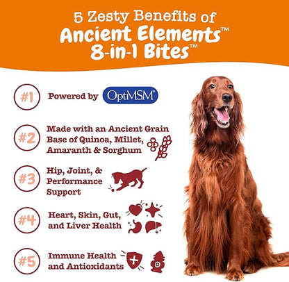 Zesty Paws Multivitamin Treats for Dogs - Glucosamine Chondroitin for Joint Support + Digestive Enzymes & Probiotics - Grain Free Dog Vitamin for Skin & Coat + Immune Health - AE - 90 Count