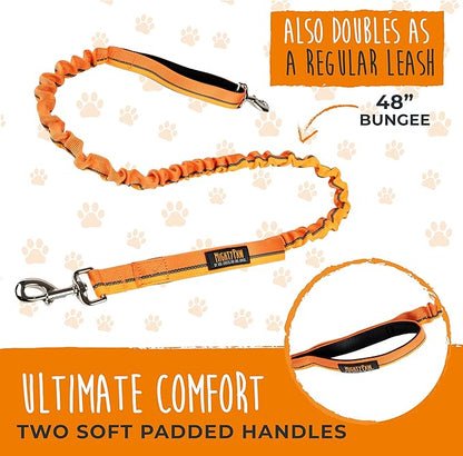 Mighty Paw Hands Free Dog Leash | Bungee Waist Leash for Dog Walking. Dog Running Leash Hands Free. Hands Free Leash for Large Dogs, Medium & Small Dogs. Dog Leash Waist Belt (36" - 48") Up To 150 lbs