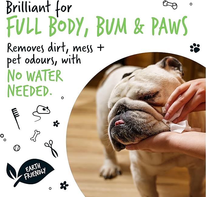 Dog Wipes, 100% Plastic Free Biodegradable pet wipes for full body, eye wipes, ear wipes, bum & paws. 110 sensitive dog grooming wipes for dogs, puppy & cat grooming (Fragrance Free)