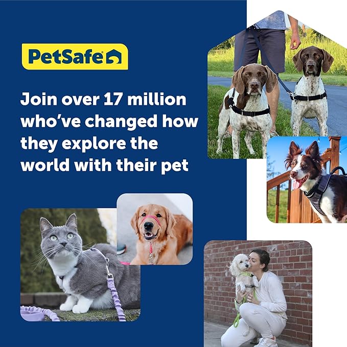 PetSafe Easy Walk No-Pull Dog Harness - The Ultimate Harness to Help Stop Pulling - Take Control & Teach Better Leash Manners - Helps Prevent Pets Pulling on Walks, Small, Teal