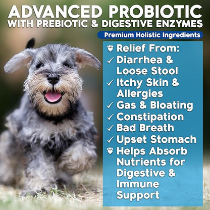 Probiotics for Dogs, Dog Probiotics and Digestive Enzymes, Made in USA, Vet Developed, Dog Probiotic Chews with Prebiotics, Diarrhea Treatment, for Itchy Skin, Gut Health & Gas Relief