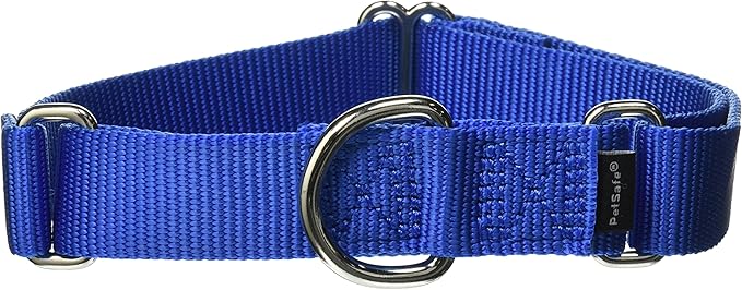 PetSafe Martingale Collar, 1" Medium, Royal Blue