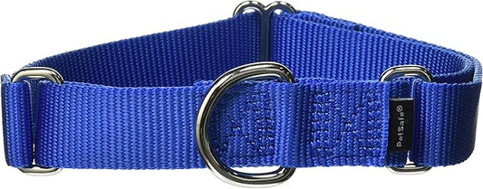 PetSafe Martingale Collar, 1" Medium, Royal Blue