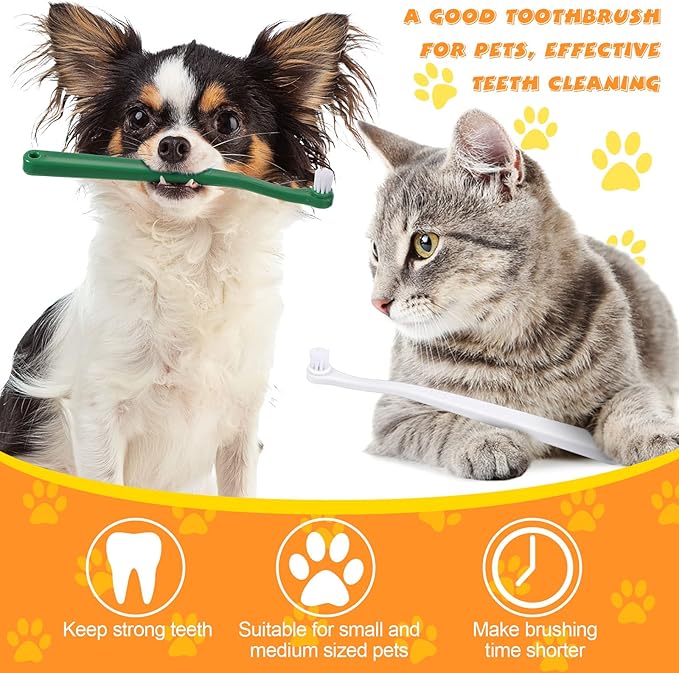 Yinder 12 Pcs Cat Toothbrush Small Dog Toothbrush Mini Head Soft Bristles Dog Tooth Brush Gentle Pet Toothbrush Long Handle Tooth Brush for Puppy Cats Large and Small Dog Dental Care (2 Colors)