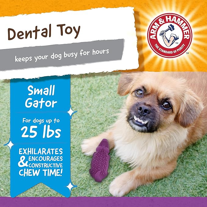 Arm & Hammer for Pets Super Treadz Mini Gator Dental Chew Toy for Dogs | Best Dental Dog Chew Toy | Dog Dental Chew Toys Reduce Plaque & Tartar Buildup Without Brushing | for Dogs up to 25 Lbs