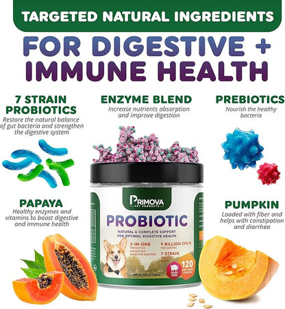 Probiotic Dog Chews for Dog Digestive Enzymes - Dog Diarrhea & Natural Allergy Relief - Puppy Probiotic Chews - Dog Allergy Chews - Pack of 120 Chews