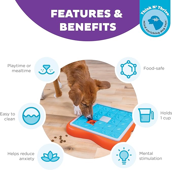 Outward Hound Nina Ottosson Challenge Slider Interactive Treat Puzzle Dog Enrichment Toy, Level 3 Advanced, Multicolored