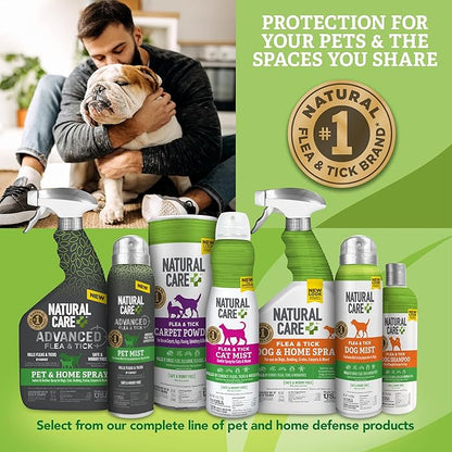 Flea and Tick Spray for Dogs and Cats - Flea & Tick Treatment for Dogs and Cats - Flea & Tick Killer with Certified Natural Oils - 14 Ounces