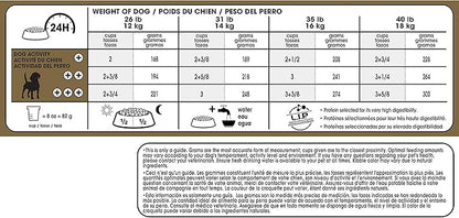 Royal Canin Beagle Adult Dry Dog Food, 6 lb bag