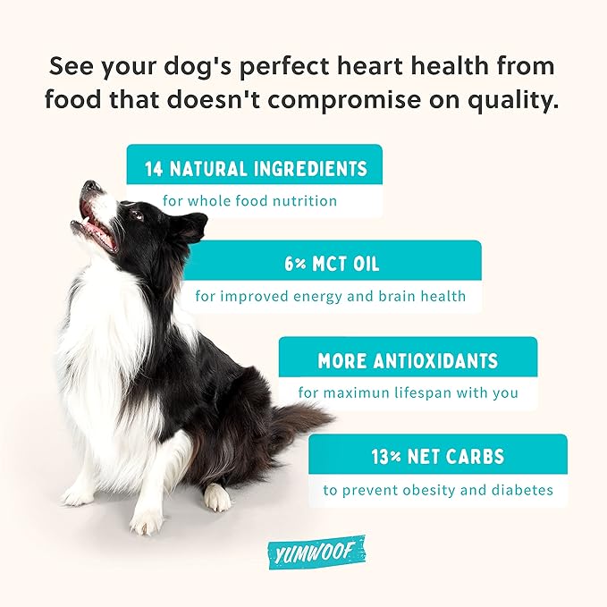 Perfect Kibble Non-GMO Air Dried Dog Food | Improves Allergies & Digestion with Organic Coconut Oil, MCTs & Antioxidants | Vet-Approved Soft Dry Diet | Made in USA (Chicken 14 oz.)