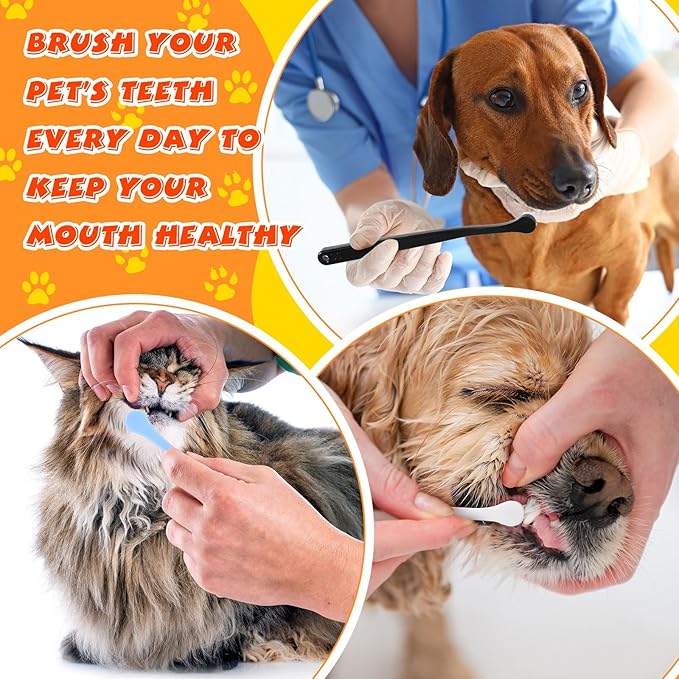 Yinder 12 Pcs Cat Toothbrush Small Dog Toothbrush Mini Head Soft Bristles Dog Tooth Brush Gentle Pet Toothbrush Long Handle Tooth Brush for Puppy Cats Large and Small Dog Dental Care (6 Colors)