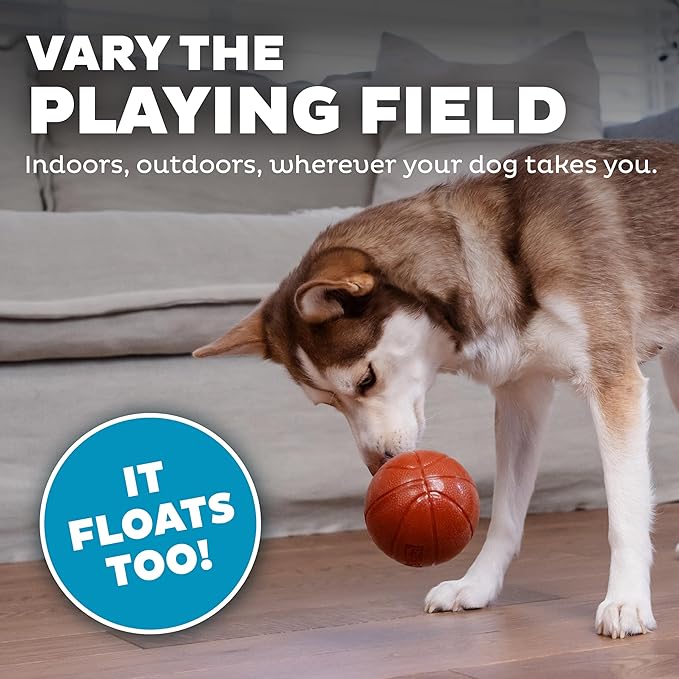 Outward Hound Sport Ballz Basketball Durable Treat-Dispensing Fetch Ball Dog Toy