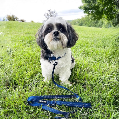 Voyager Reflective Dog Leash with Neoprene Handle, 5ft Long, Supports Small, Medium, and Large Breed Puppies, Cute and Heavy Duty for Walking, Running, and Training - Royal Blue (Leash), L