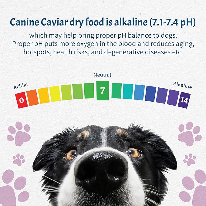 Canine Caviar Leaping Spirit Dog Food – Limited Ingredient Alkaline Holistic Dog Food – All Life Stages – Gluten Free, Ultra-Premium Dog Food – Healthy Skin & Coat – Venison & Pearl Millet – 22lbs