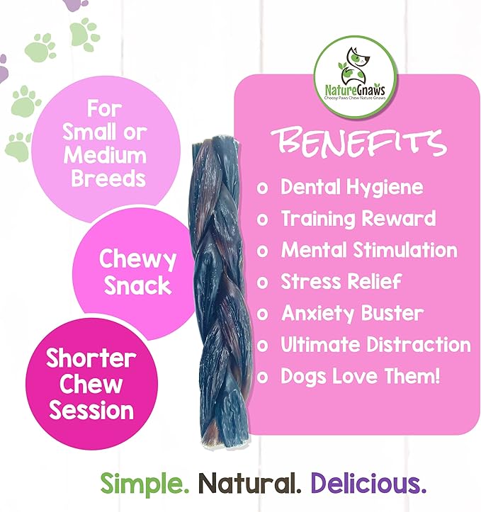 Nature Gnaws Braided Beef Jerky Chews for Dogs - Premium Natural Beef Gullet Sticks - Simple Single Ingredient Tasty Dog Chew Treats - Rawhide Free 3 Count (Pack of 1)