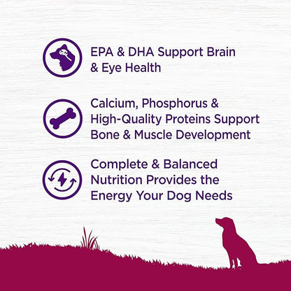 Wellness Complete Health Small Breed Dry Dog Food with Grains, Natural Ingredients, Made in USA with Real Turkey, For Dogs Up to 25 lbs. (Puppy, Turkey, Salmon & Oatmeal, 4-Pound Bag)