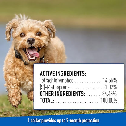 Adams Plus Flea & Tick Collar for Dogs, 7-Month Protection, Adjustable Collar Fits Small Dogs & Puppies, Kills & Repels Fleas, Flea Eggs, Flea Larvae, and Ticks, Kills Tick Larvae and Tick Nymphs