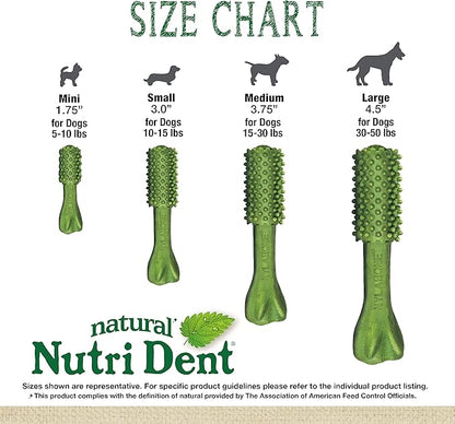 Nylabone Nutri Dent Dog Dental Treats - Natural Dog Teeth Cleaning & Breath Freshener - Dental Treats for Dogs - Fresh Breath Flavor, Mini (78 Count)