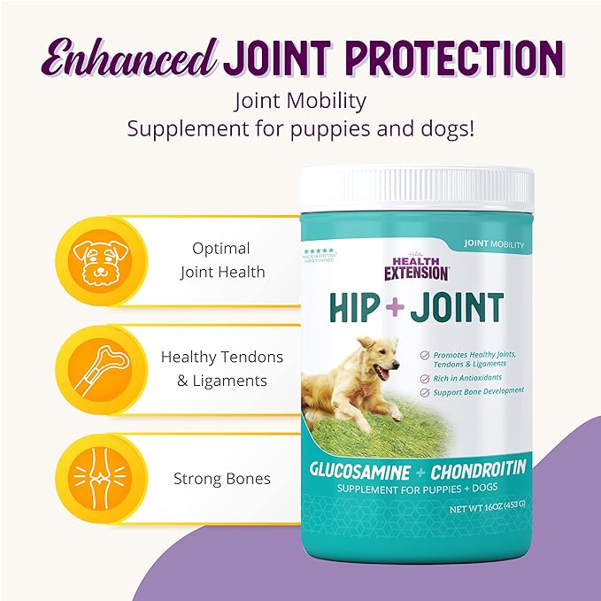 Health Extension Chondroitin with Glucosamine for Dog, Arthritis Pain Relief Vitamin, Joint & Hip Supplement Cheese Flavored Powder, Suitable for All Types of Puppies & Dogs, (16 Oz / 454 g)
