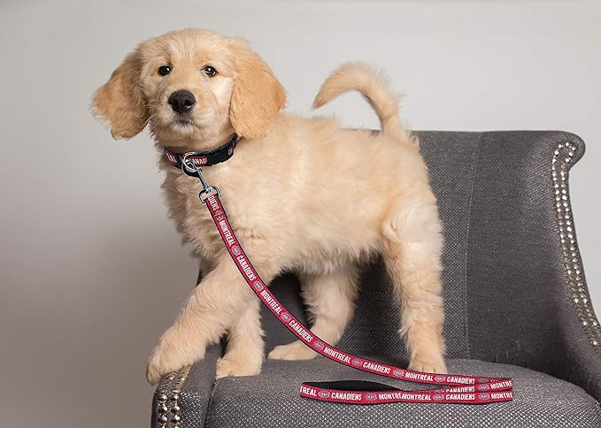 Pets First NHL Montreal Canadiens Leash for Dogs & Cats, Large. - Walk Cute & Stylish! The Ultimate Hockey Fan Leash!, 6 ft Long x 1 in Width, CAN-3031-LG