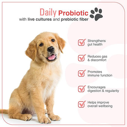 Dr. Richard's Daily Probiotic for Dogs - Daily Chew Supports Digestion, Immunity, Gut Health, Regularity with 100 Million CFUs Bacillus Coagulans & 200mg FOS Fiber for All Adult Ages