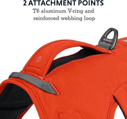 Ruffwear, Web Master, Multi-Use Support Dog Harness, Hiking and Trail Running, Service and Working, Everyday Wear, Blaze Orange, Medium