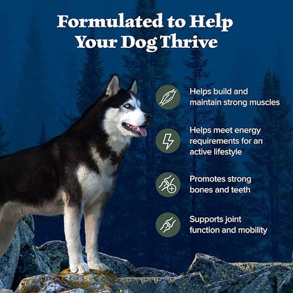 Blue Buffalo Wilderness High Protein Natural Adult Dry Dog Food plus Wholesome Grains, Duck 28 lb bag