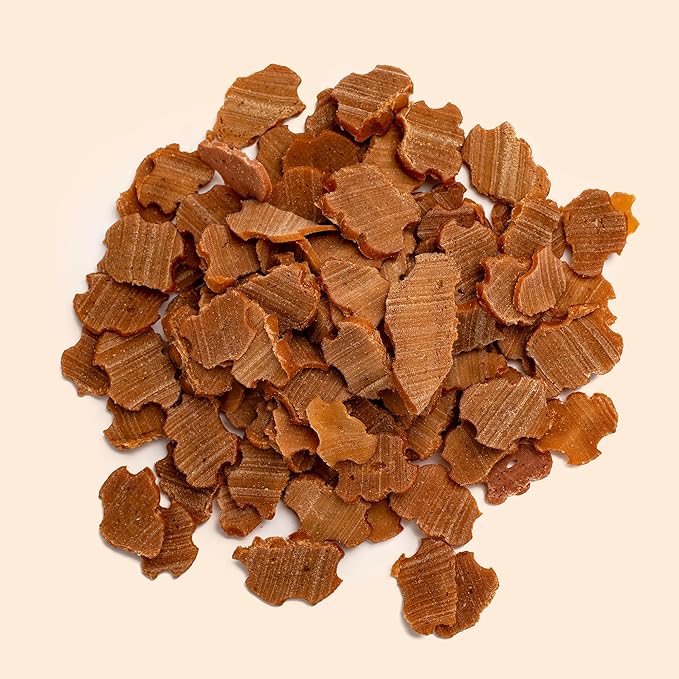 Salmon Slice Training Dog Treats 8 oz, Rawhide-Free, Grain-Free, Made with Real Meat, Healthy All Natural, Long-Lasting and Great Tasting Treat
