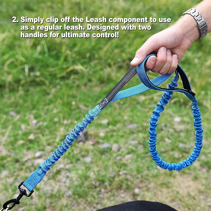 Wagtime Club Hands Free Bungee Dog Leash - Smart 3-in-1 Design For Running, Hiking, or Walking with Durable Dual Handles, SmartPhone Pouch, Reflective Stitching, 4FT Length for Medium to XLarge Dogs -